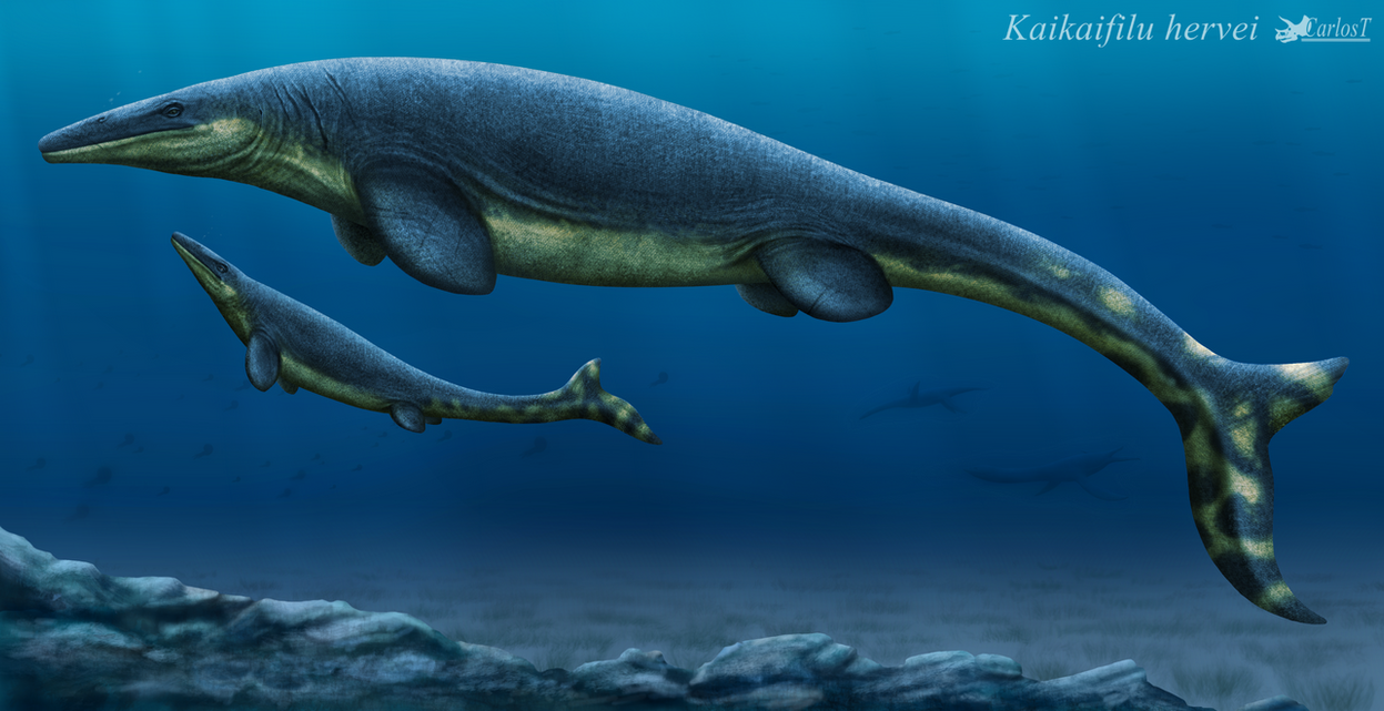 Kaiful Kaikaifilu by Carlost1205 on DeviantArt