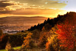 Goettingen, Colors of fall by alierturk