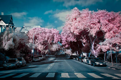 San Fran, without the Beatles