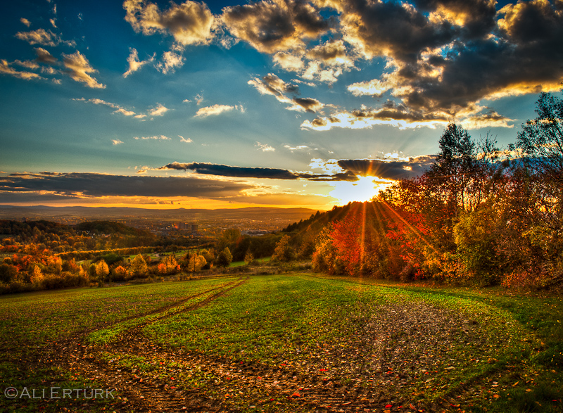 Goettingen, Tractor