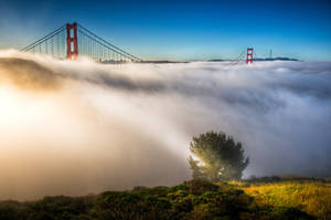 San Francisco, The Magic of Golden Gate by alierturk