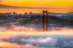 San Francisco, Golden Gate in fire chamber