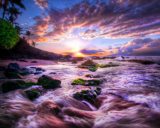 Hawaii, circulation by alierturk