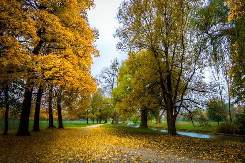 Munich, walk in Englischer Garten