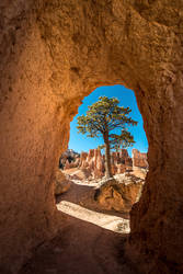 Bryce Canyon, Lock