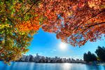 Vancouver and Fall by alierturk