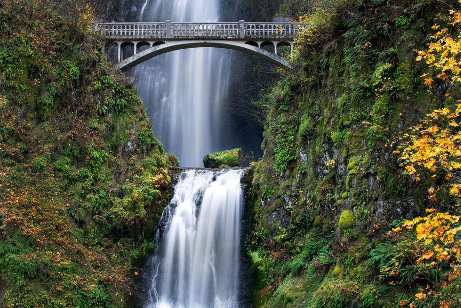 Multnomah Falls by alierturk