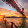 Golden Gate, golden scene