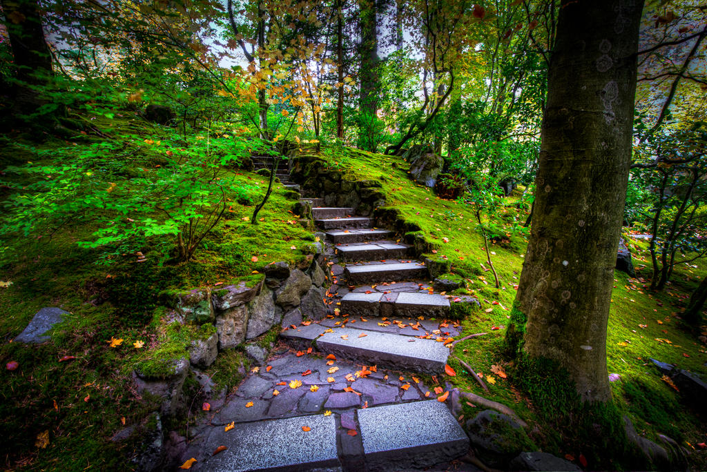 Portland, stairs of Lothlorien