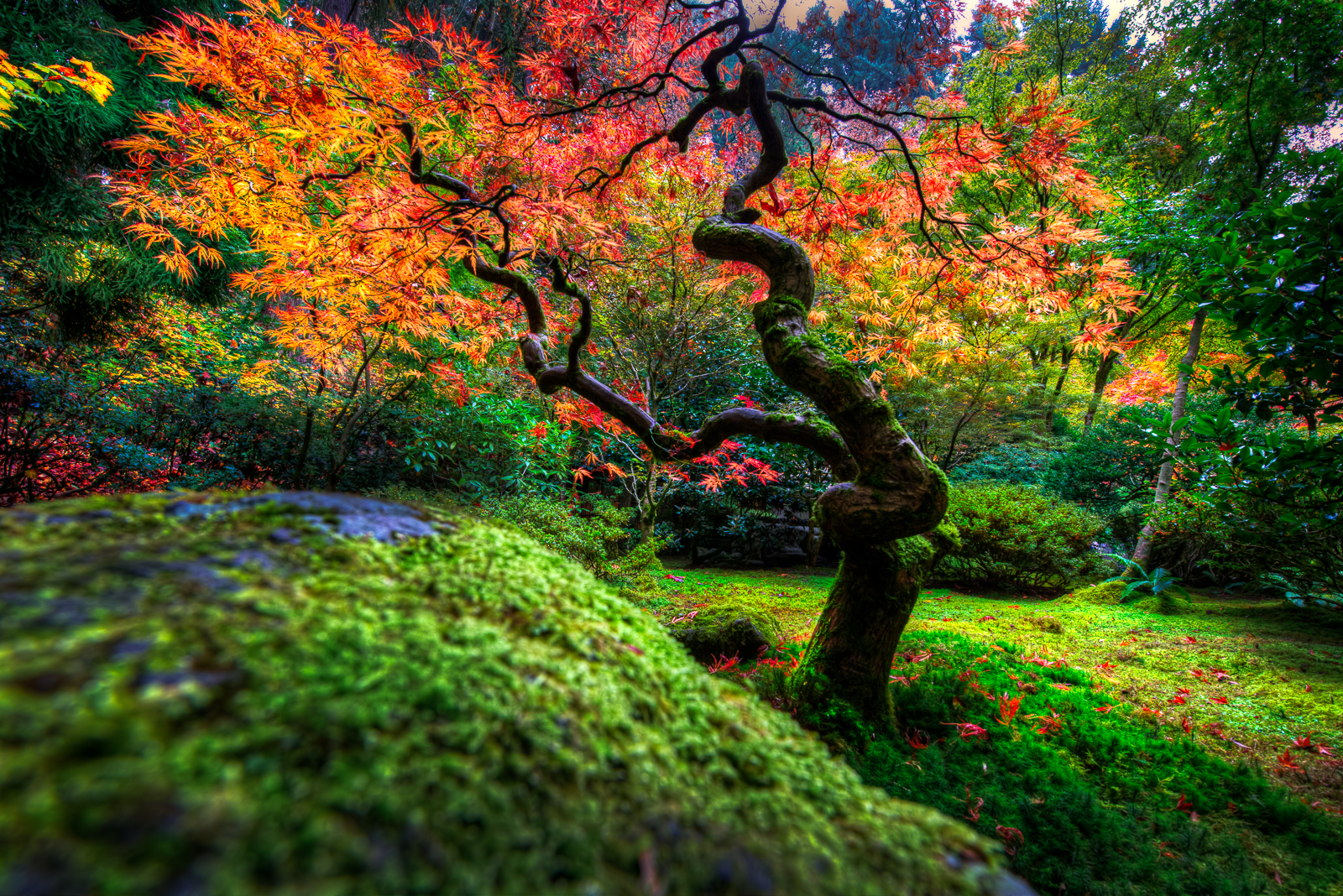 Japanese Garden | Portland