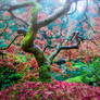 Portland | Japanese garden show yourself