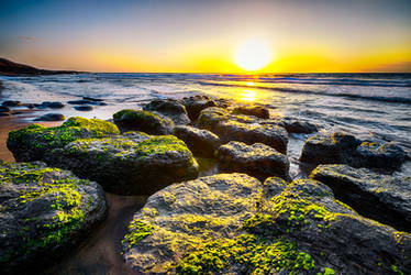 Fuerteventura 1,2,3,4