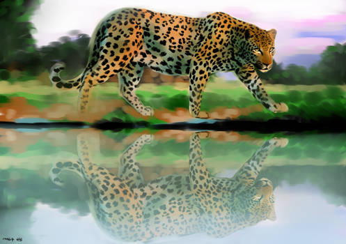 Jaguar