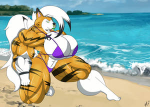 Beach Roc