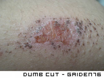 dumb cut