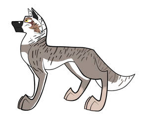 10 point wolf adopt