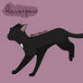 Ravenpaw Design