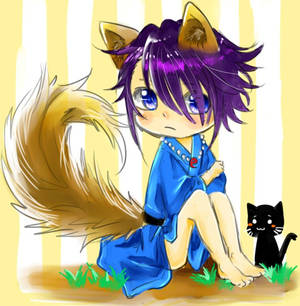 Saruhiko-chan is a fox
