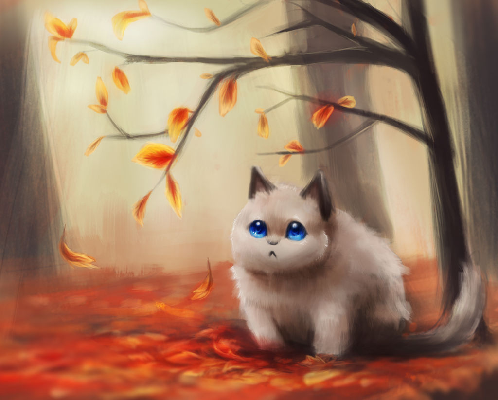 Autumn Kitty