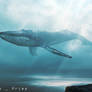 Sky whale