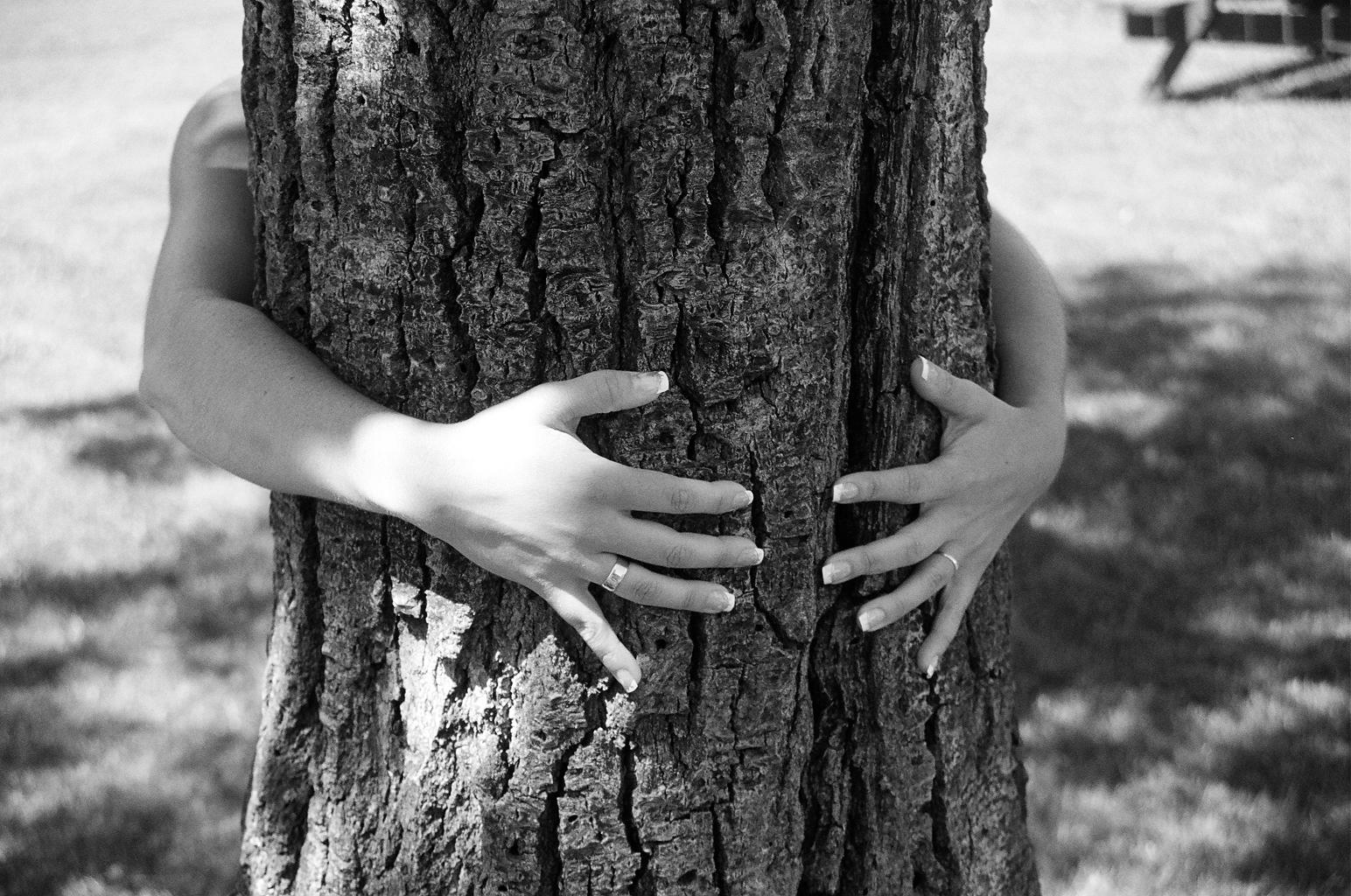 tree hugger