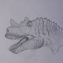 Ceratosaurus head sketch 