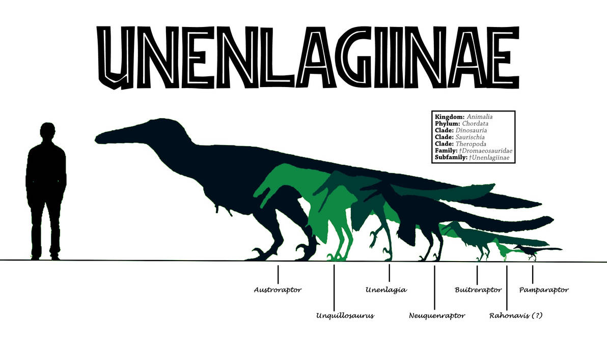 Irregular Raptor Specialised raptors by Pgrigor on DeviantArt