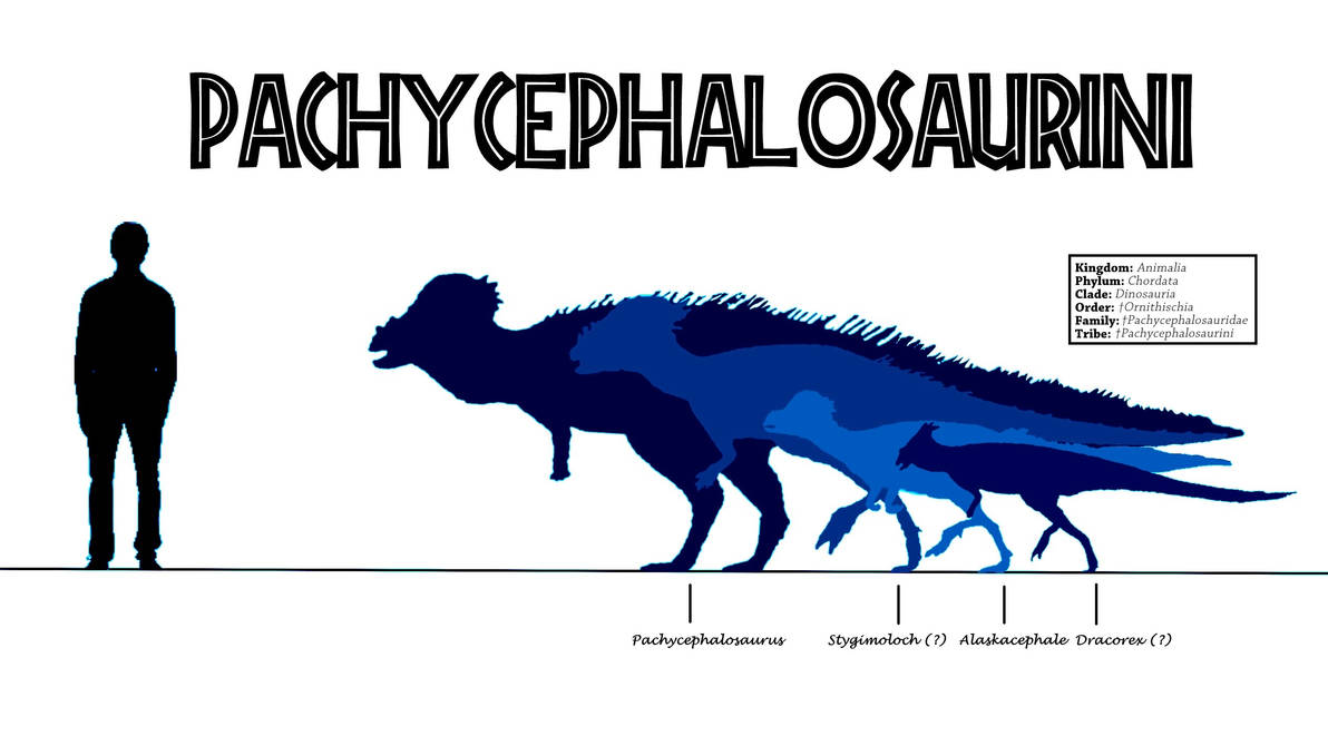 Pygocephalomorph Dubious members by Pgrigor on DeviantArt
