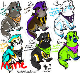 15 point song adopts