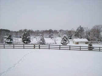 my farm on a snowy day