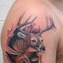 deer