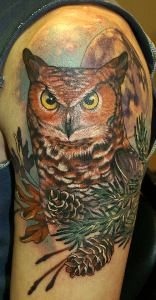 Owl in the moonlight