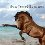 HorseReality: Sun Jewel Pixel