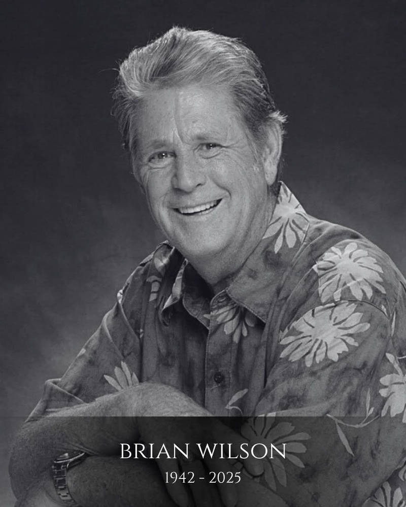 RIP Brian Wilson (1942 - 2025) by ShinRiderNumber2 on DeviantArt