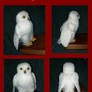 WIP  - Snowy Owl Hedwid OOAK Posable-Doll