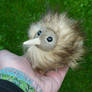 Tiny Baby Kiwi - ArtDoll