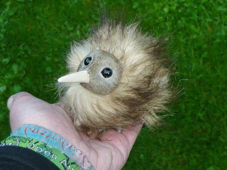 Tiny Baby Kiwi - ArtDoll