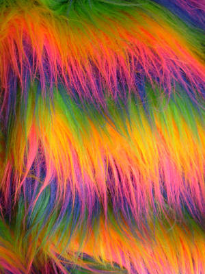 Rainbowfur by Ganjamira