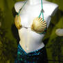 Golden Siren -Mermaid Bikini- real Scallop Bikini