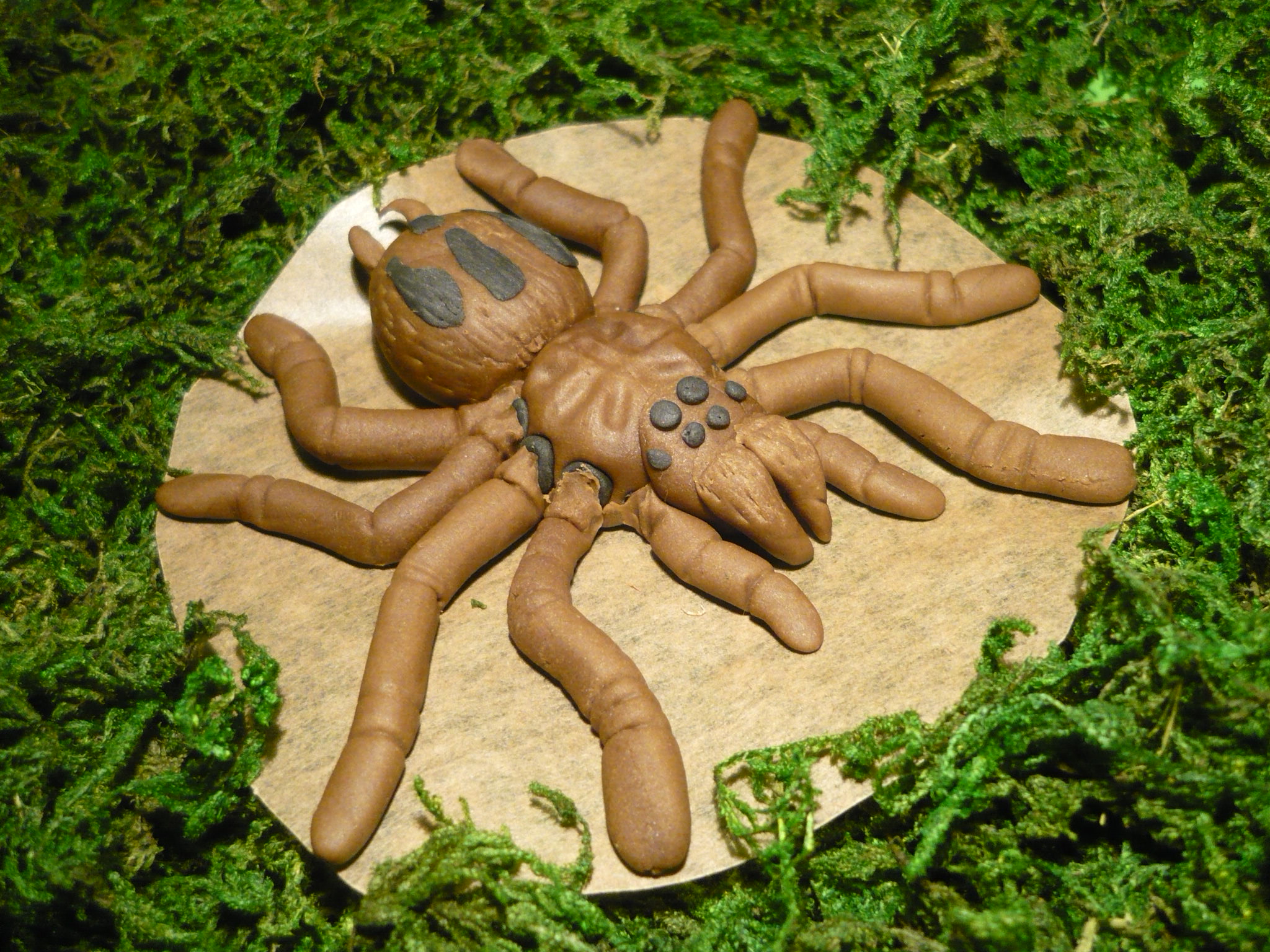 Sugar Spider - huge Sugarpaste Spider