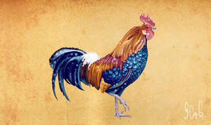 Rooster