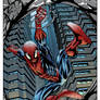 Spider-Man Color