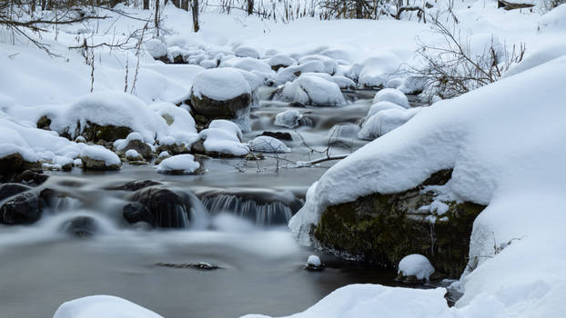 Winter tranquility