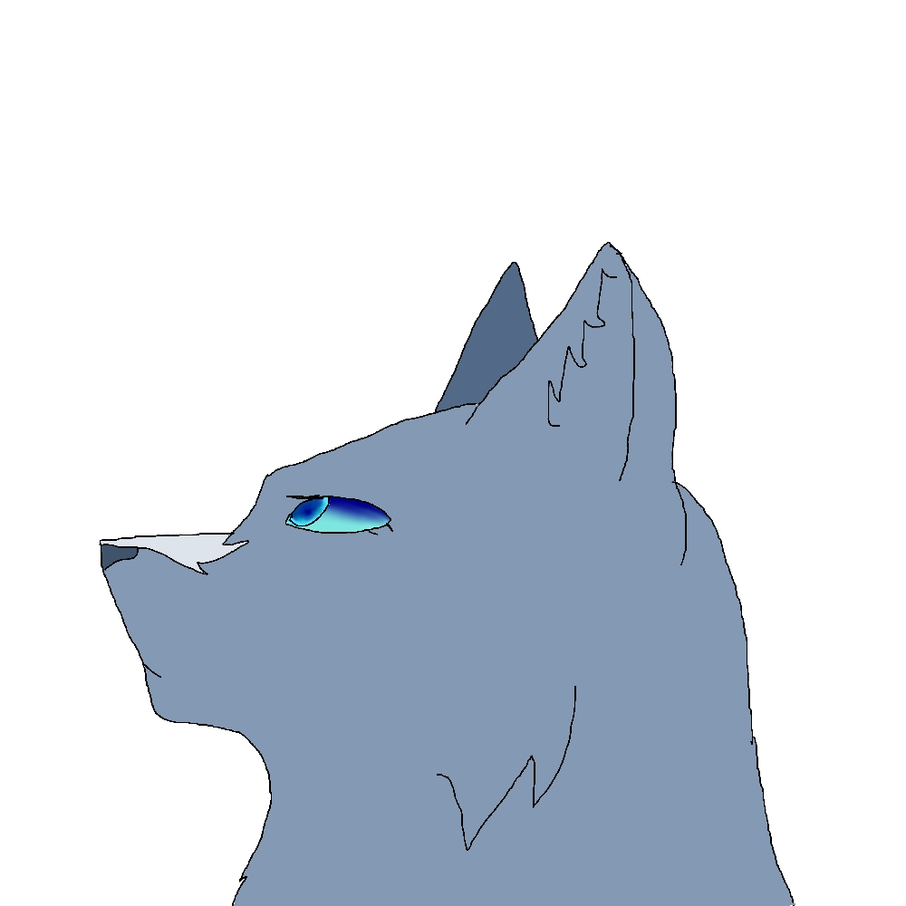 My sad attempt at SSSwarriorcats style