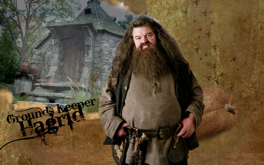 Hagrid Wallpaper