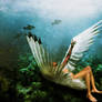 Icarus