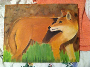 Oil Painting of a Coyote