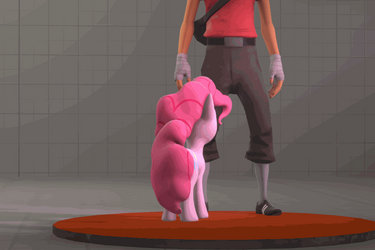 Pinkie Pet