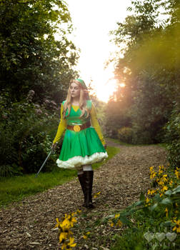 The Search- Legend of Zelda Cosplay