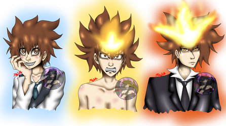 Tsunayoshi Sawada evolucion